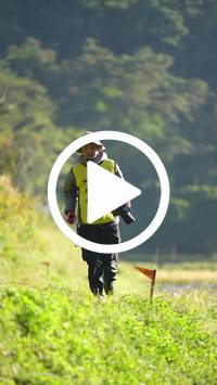 BIB:  <button type="button" onclick="openModal(26570883)" class="btn btn-primary btn-sm float-right" data-toggle="modal" data-target=".modal-high-quality">
                <i class="fa fa-download"></i> Download
                </button>